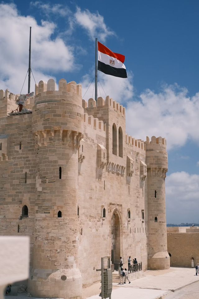 埃及｜亞歷山大一點也不壓力山大