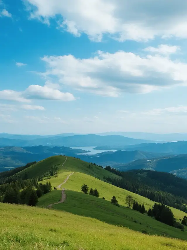 Wakakusa Mountain Notes｜Sharing the Starry River with Deer Amidst Triple Layers of Cherry Blossoms