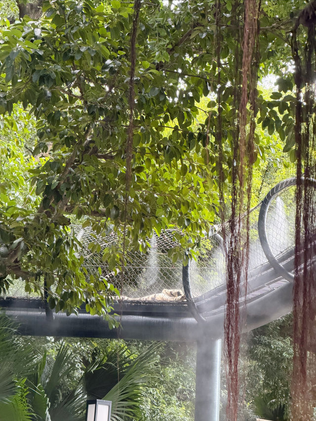 西麗動物園超詳細攻略