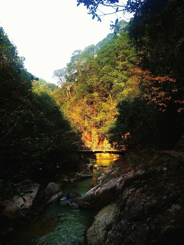 救命！是誰在去天台山大瀑布