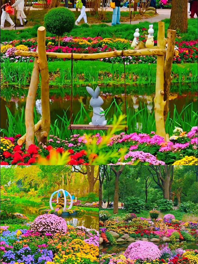 上海小眾打卡地！莫奈花園同款粉黛海少女心炸裂！