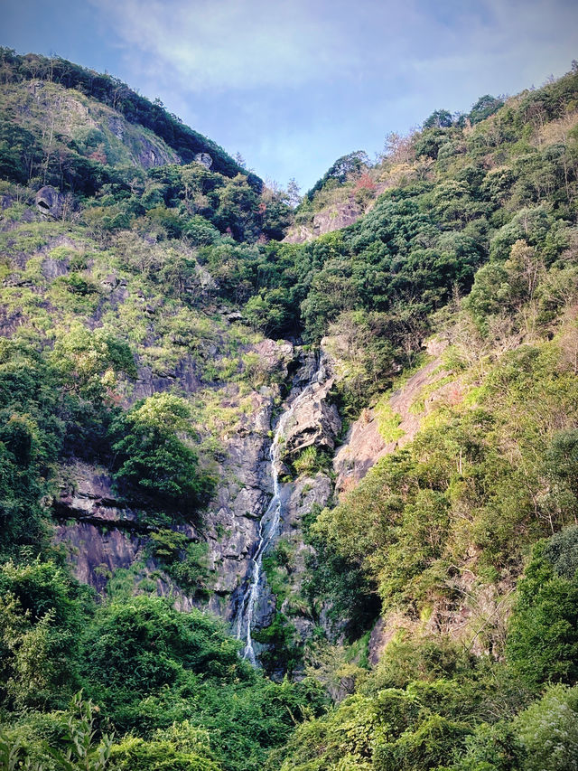 天台秘境：綠野仙蹤，在山脊的褶皺裡，與雲霧對