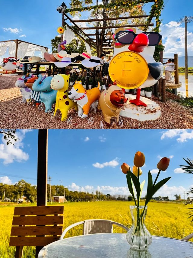 昆明油菜花海打卡地