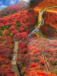 京郊紅葉棧道,這裡已到達觀賞,錯過等一年