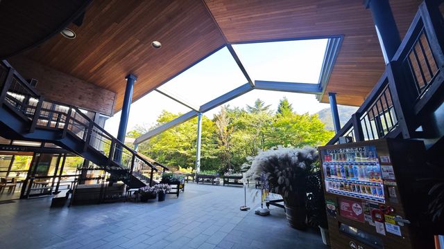 箱根濕生花園 —— 低調、但不可錯過的地方