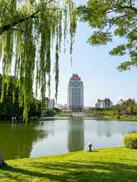 廈門廈裡尋舊｜藏巷海甜