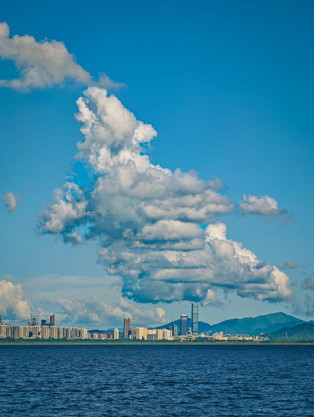 深圳騎行，晴天的深圳灣簡直是人間美好！