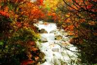紅葉封神打卡地之四川南江光霧山