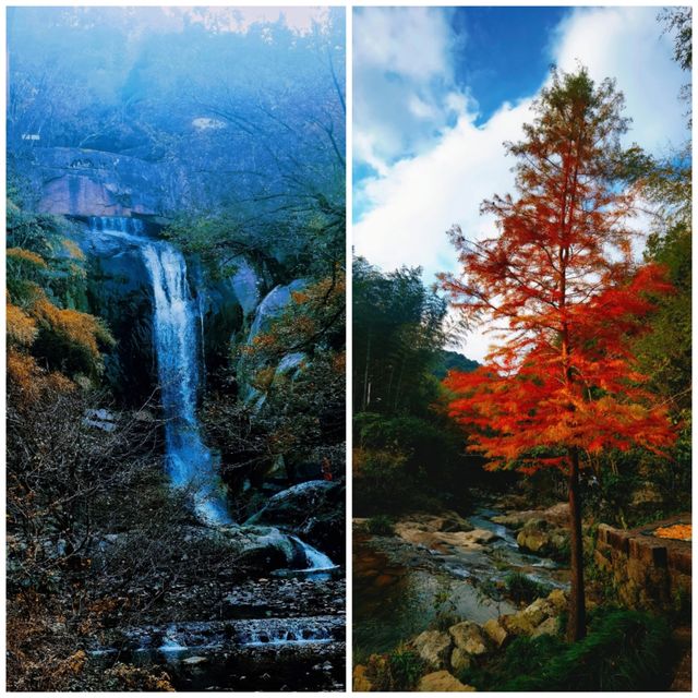天台山「奪命」石徑，爬完的人都瘦了3斤！