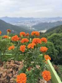 東莞觀音山光影攻略