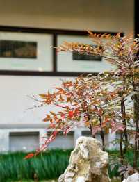 洪承疇之外,這裡藏著清宮另一樁未解之謎