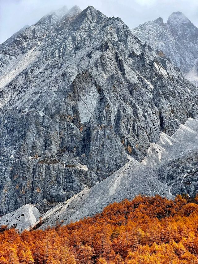 稻城亞丁的秋，是一場短暫的夢