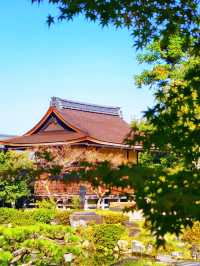 奈良依水園攻略關西最仙庭院被我發現啦!