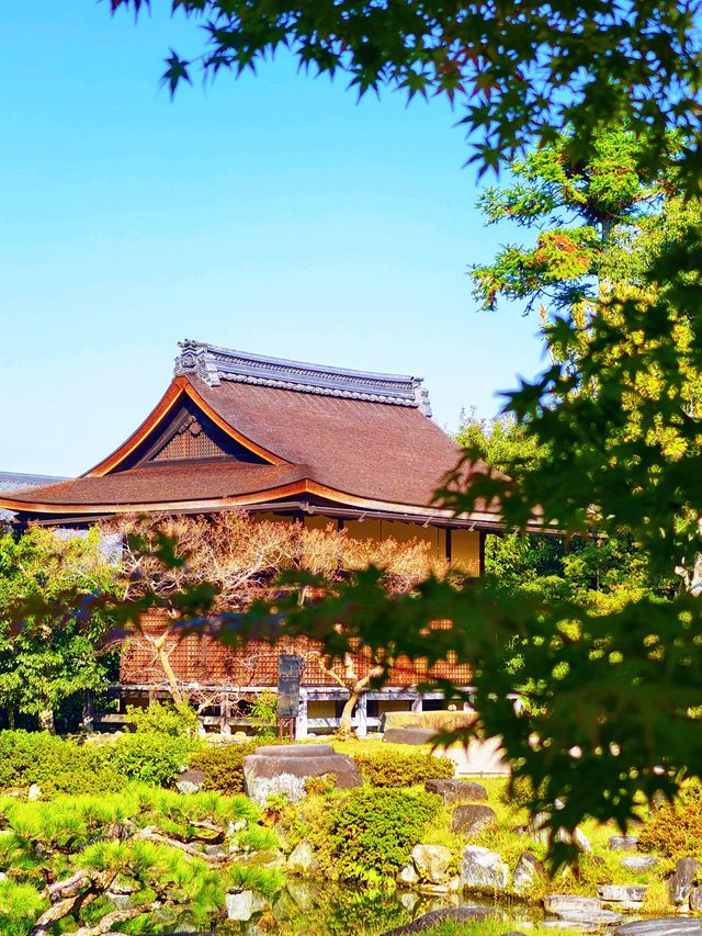 奈良依水園攻略關西最仙庭院被我發現啦! 奈良依水園攻略關西最仙庭院被我發現啦!