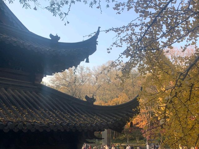 11月賞楓預警人少車少的紅葉秘境首公開！