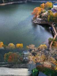 一開車門美到失語衢州這個秋日秘境原地封神