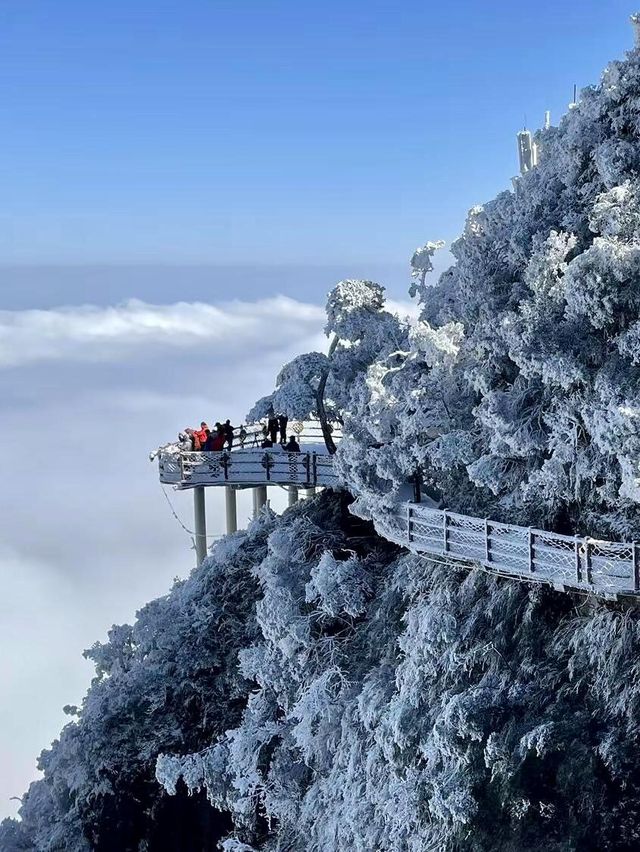 廣東雪景平替1.5h直達莽山絕美霧淞秘境