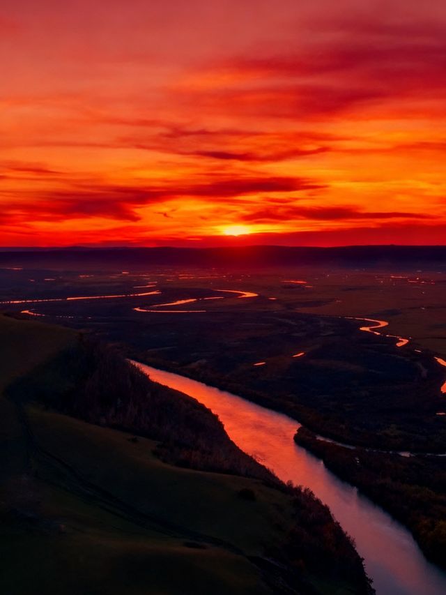 闖入大興安嶺的秋日童話|被金色白樺林治癒的一天 闖入大興安嶺的秋日童話|被金色白樺林治癒的一天