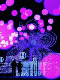 北海道札幌冬日點燈全攻略比東京還浪漫的白色燈樹節?