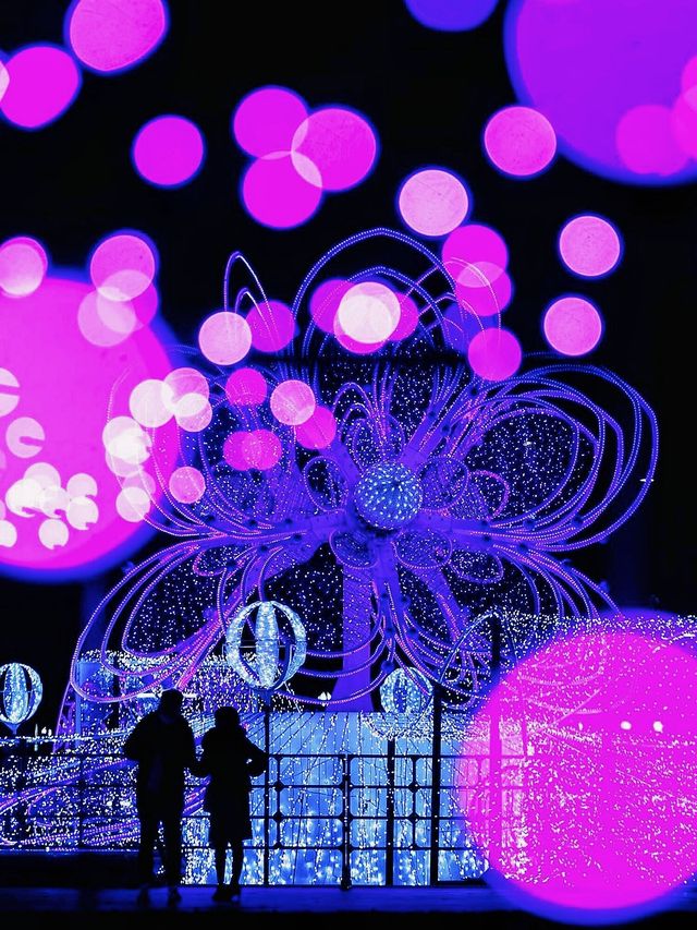 北海道札幌冬日點燈全攻略比東京還浪漫的白色燈樹節?