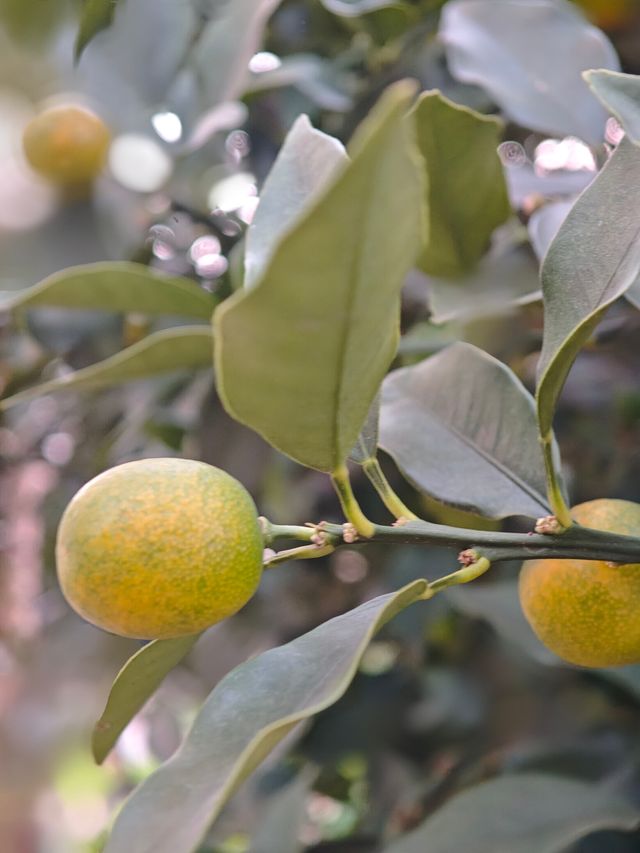 長沙日式庭院風酒店必住 長沙日式庭院風酒店必住