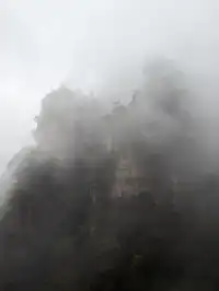 [11.05]跌宕起伏的張家界森林公園·攻略參考