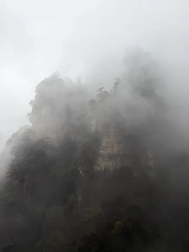 [11.05]跌宕起伏的張家界森林公園·攻略參考