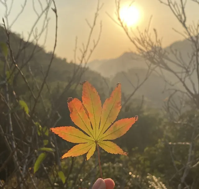 四明山蜘蛛嶺，秋日封神之作！