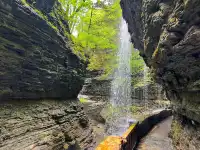 二遊紐約州Watkins Glen