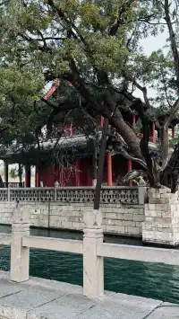 輝縣百泉湖 | 泉水復湧的江南夢境