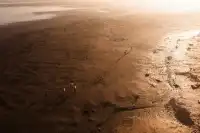 鹽城丨朋友都以為我去了肯尼亞