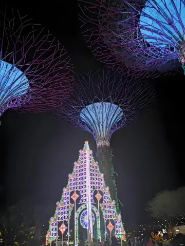 2025新加坡聖誕新攻略!玩轉濱海灣花園