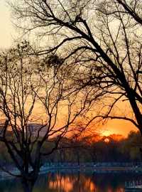 瀋陽冬日限定！北陵日落把皇家園林染成暖金