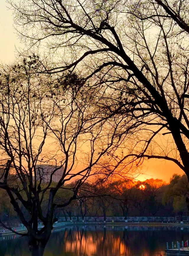 瀋陽冬日限定！北陵日落把皇家園林染成暖金
