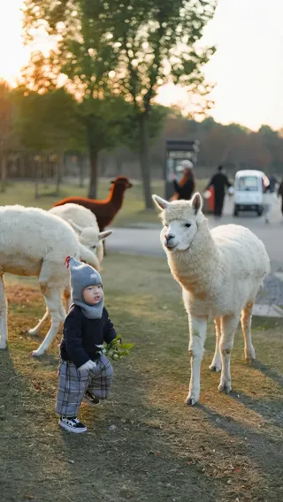 Great place for family outings with kids (4/100) Nantong Sendi Wildlife Park
