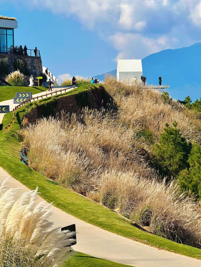 11.26實況!大理最美雪山機位被我找到啦 11.26實況!大理最美雪山機位被我找到啦