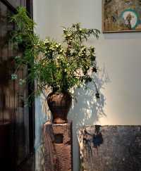 鴻達酒店的床,算是把我“拴”住了!