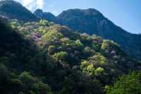 【唐家河秘境】小眾旅行玩法攻略！