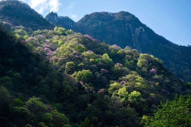【唐家河秘境】小眾旅行玩法攻略！