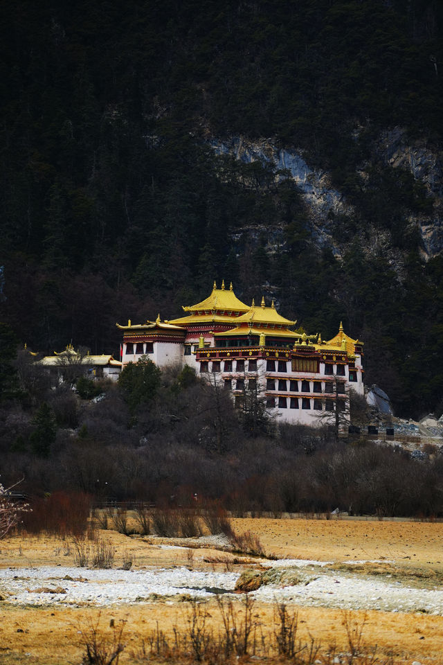 在雪山與聖湖間找回生活的答案