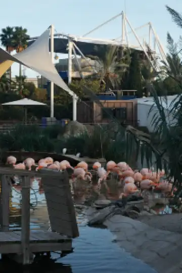 瓦倫西亞轉機4小時速通歐洲最大海洋館