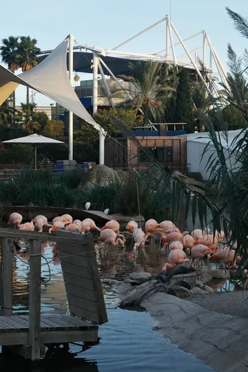 瓦倫西亞轉機4小時速通歐洲最大海洋館