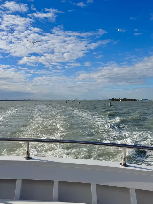 威尼斯你別太寵我！！！