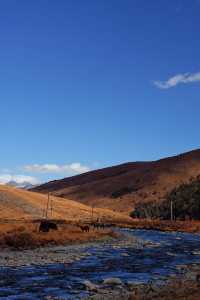 壯美雪山秘境打卡姑弄村的半日悠閒
