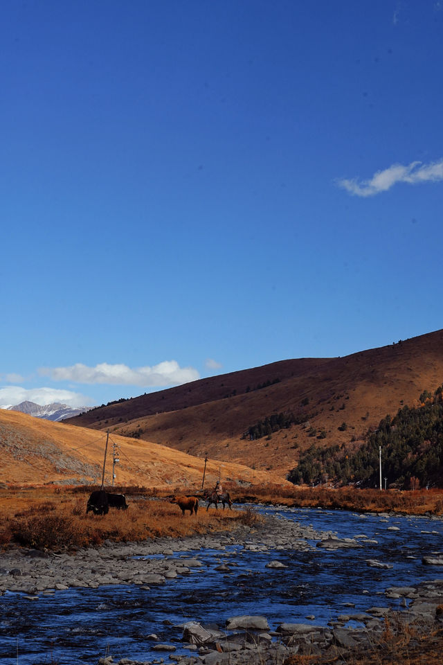 壯美雪山秘境打卡姑弄村的半日悠閒 壯美雪山秘境打卡姑弄村的半日悠閒