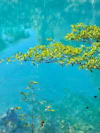 荔波小七孔3小時快速玩!! 我們提前一晚入住的施柏閣酒店~ 酒店VIP入口出發 步行至大七孔古橋