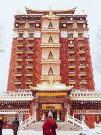 放棄哈爾濱冬天來甘南旅遊,真的贏麻了