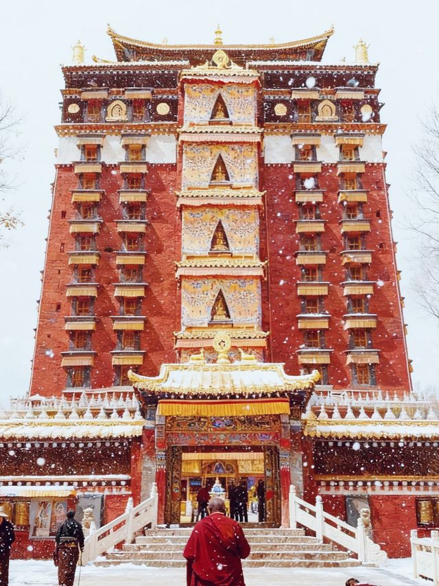 放棄哈爾濱冬天來甘南旅遊,真的贏麻了 放棄哈爾濱冬天來甘南旅遊,真的贏麻了