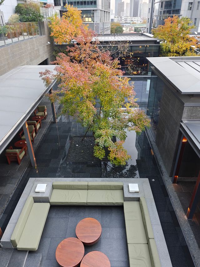 知其燃不知其所以燃，上海阿麗拉酒店