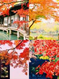 錯過無錫的秋 ，該有多遺憾吖